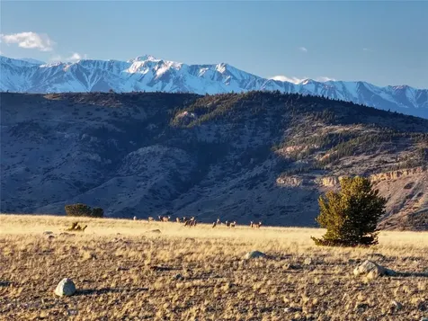 Tbd Susie Creek Road Mcleod MT 59052