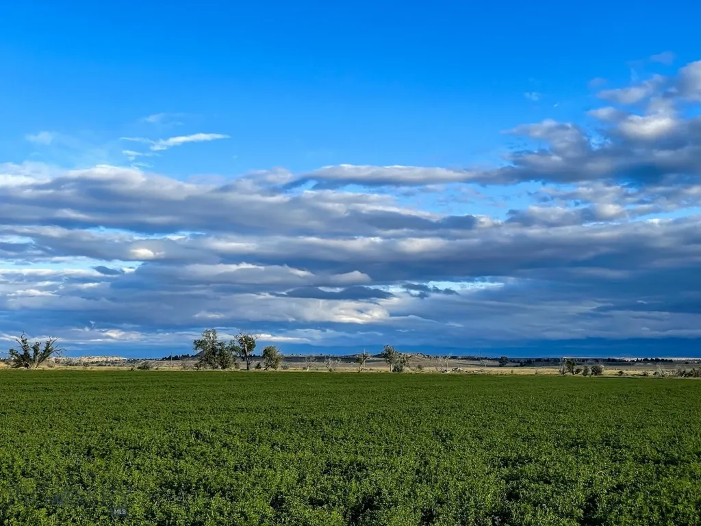Roundup MT 59072