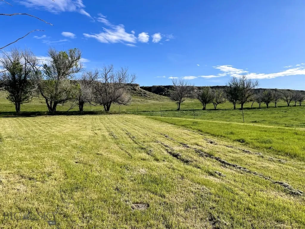 Roundup MT 59072