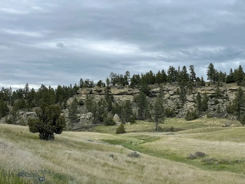 Roundup MT 59072