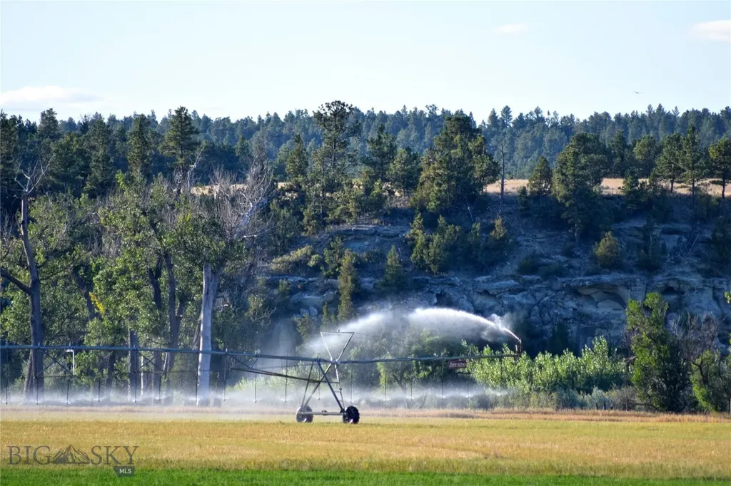 Roundup MT 59072