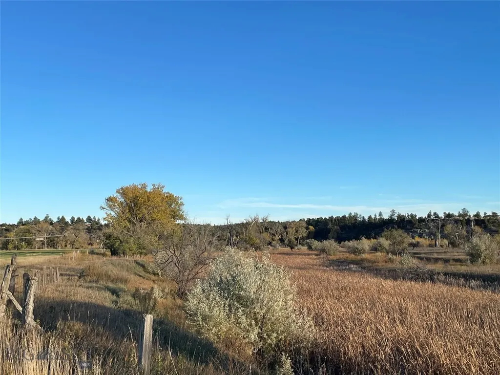Roundup MT 59072