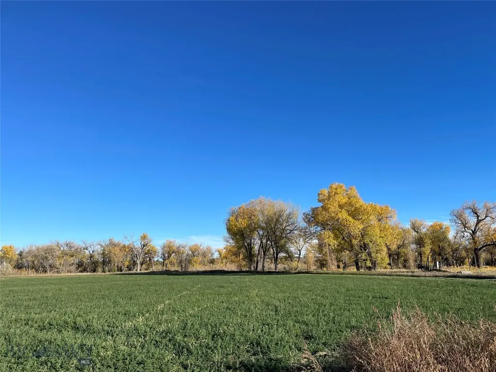Roundup MT 59072