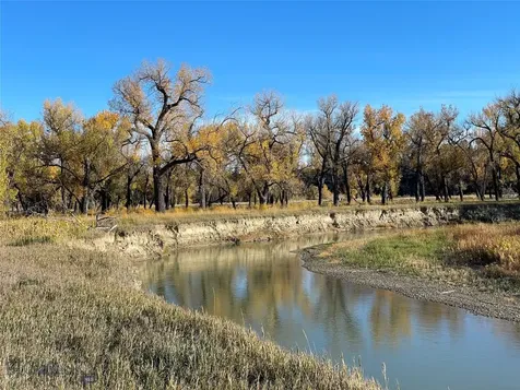 Roundup MT 59072