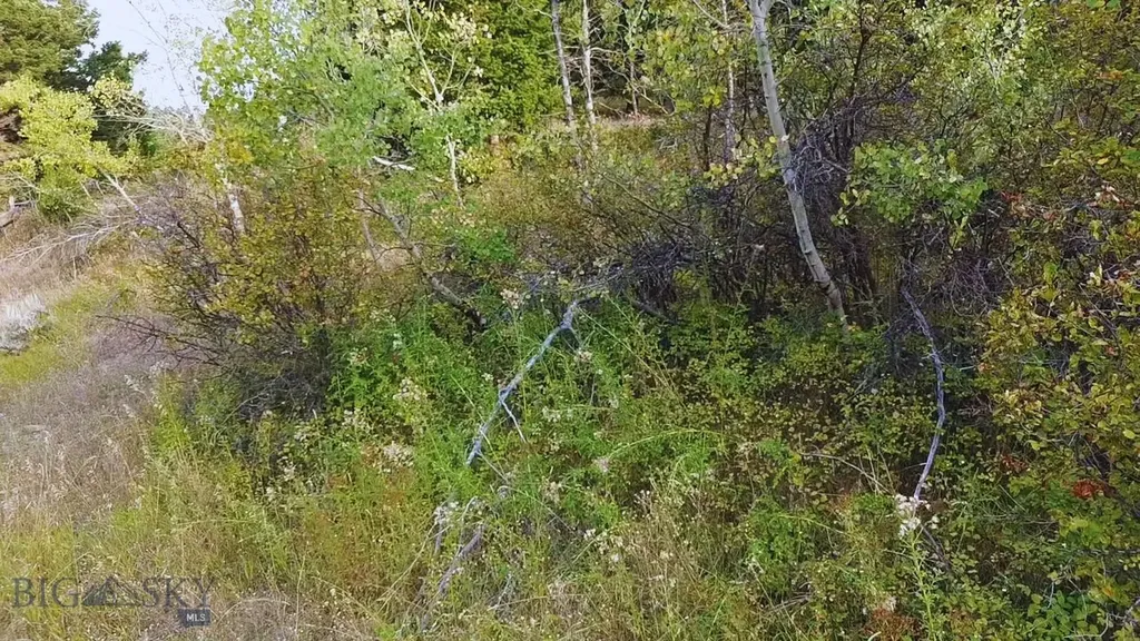 000 Chestnut Road Bozeman MT 59715