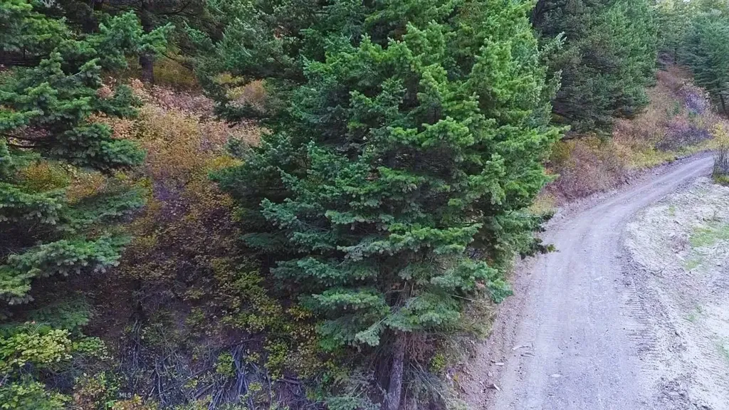 000 Chestnut Road Bozeman MT 59715
