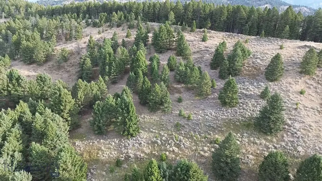 000 Chestnut Road Bozeman MT 59715