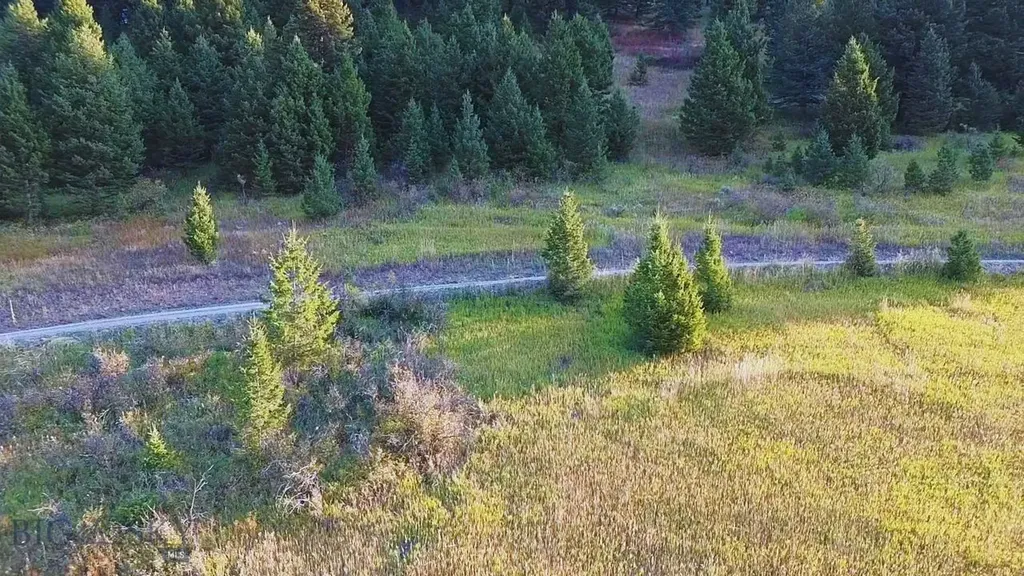 000 Chestnut Road Bozeman MT 59715