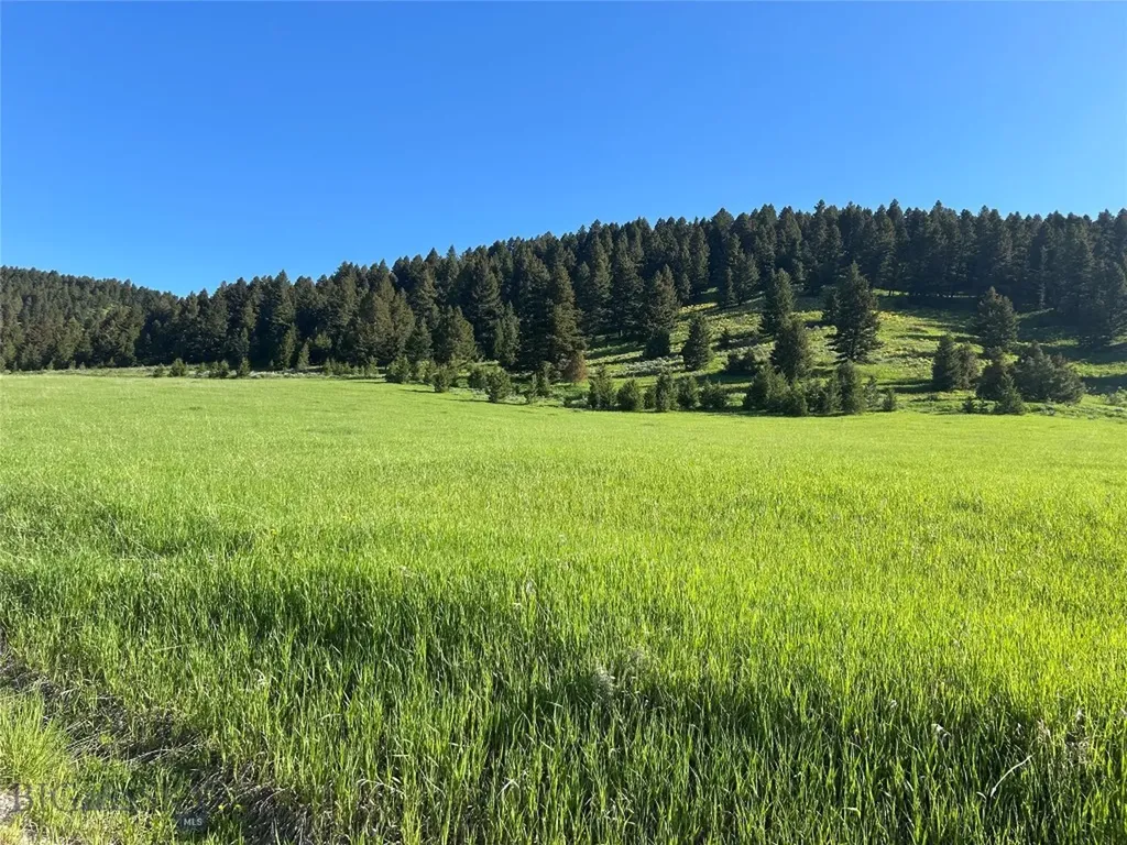 000 Chestnut Road Bozeman MT 59715