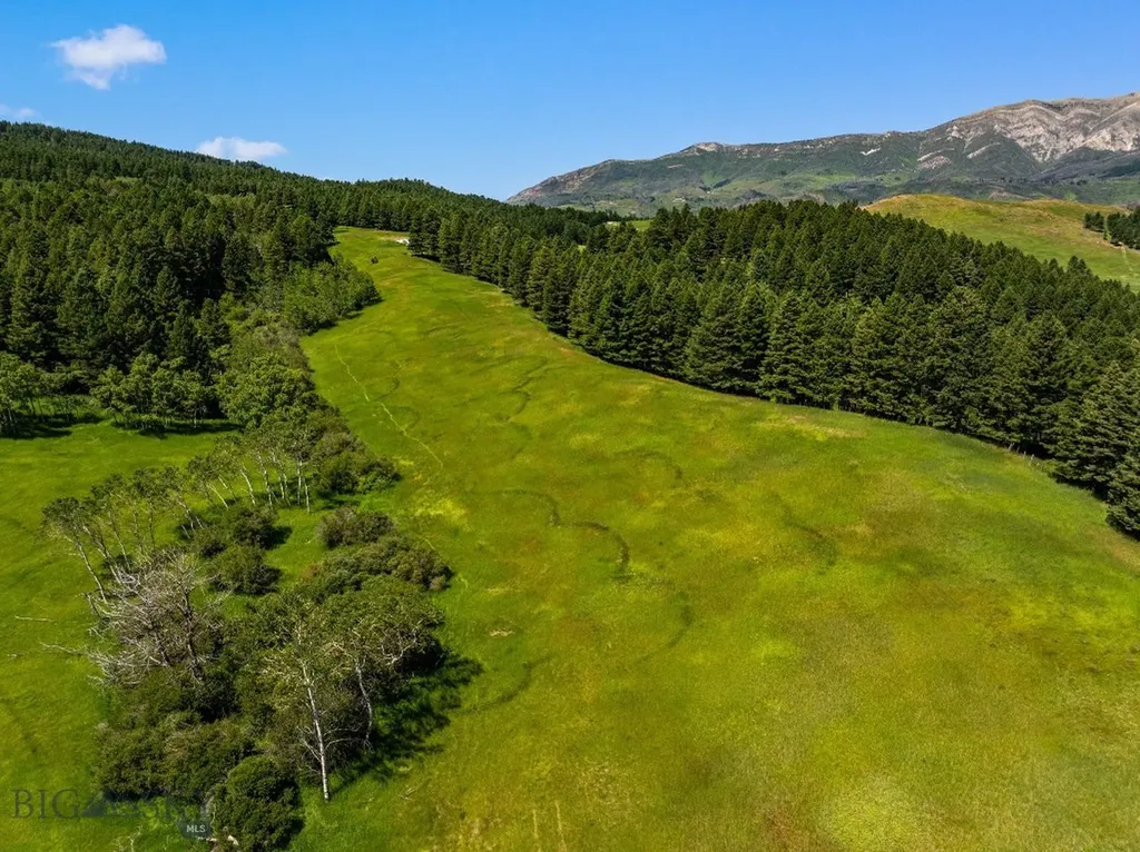 Tbd Jackson Creek Road Bozeman MT 59715