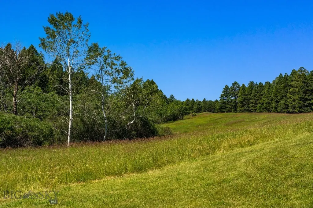 Tbd Jackson Creek Road Bozeman MT 59715