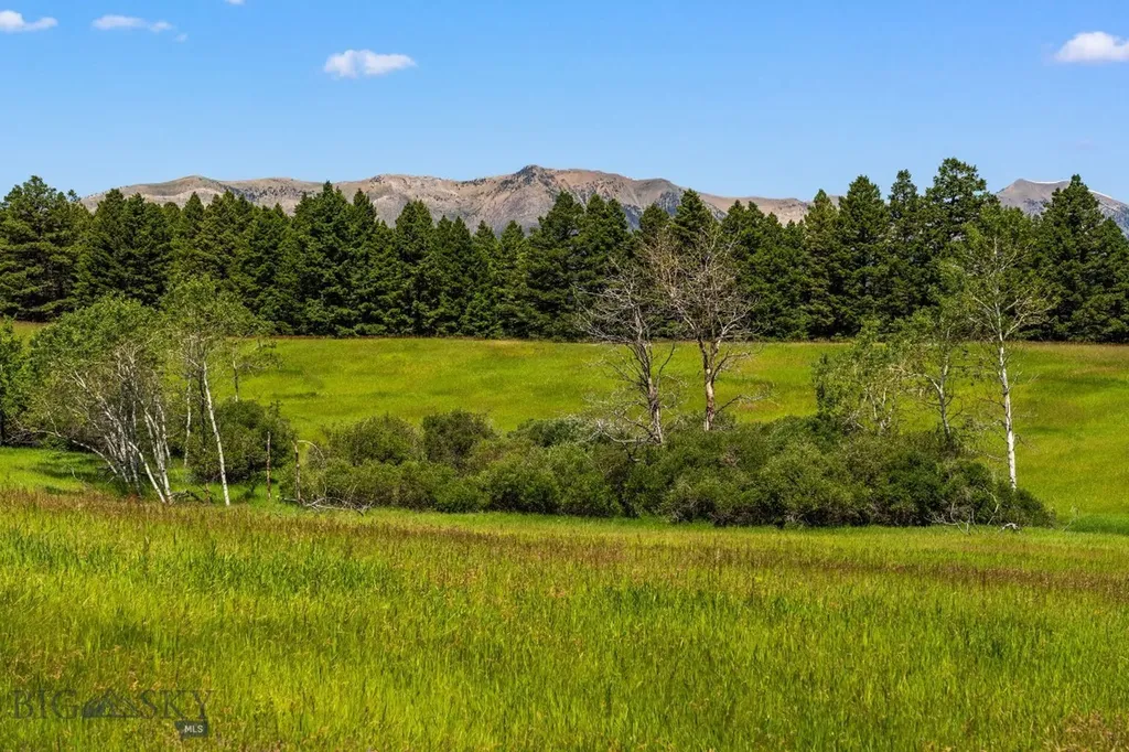 Tbd Jackson Creek Road Bozeman MT 59715