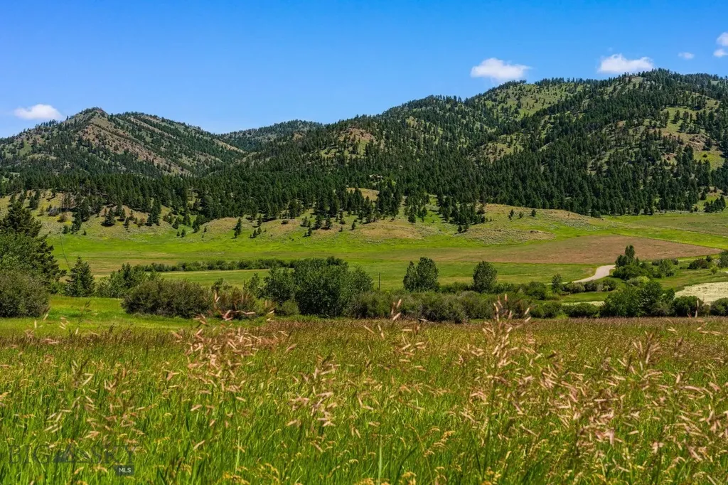 Tbd Jackson Creek Road Bozeman MT 59715