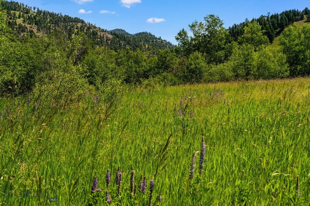 Tbd Jackson Creek Road Bozeman MT 59715