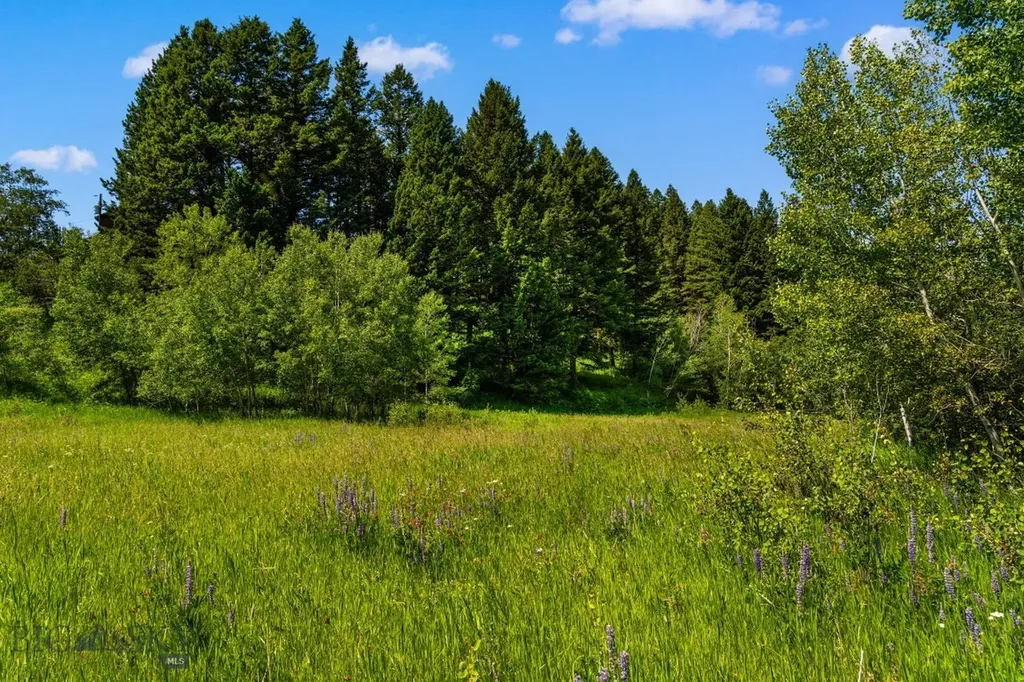 Tbd Jackson Creek Road Bozeman MT 59715