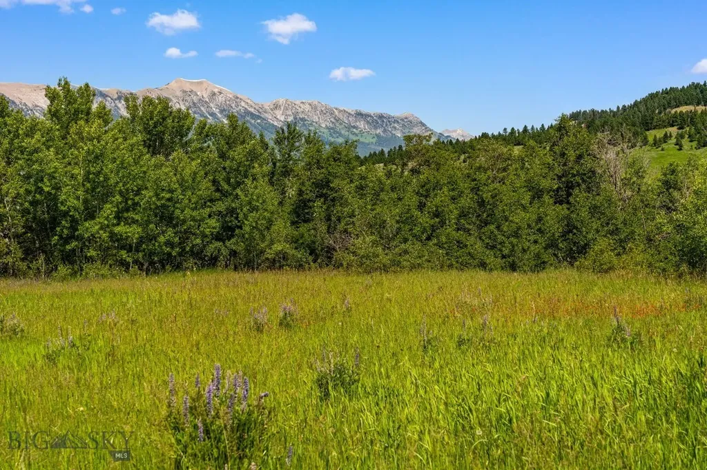 Tbd Jackson Creek Road Bozeman MT 59715