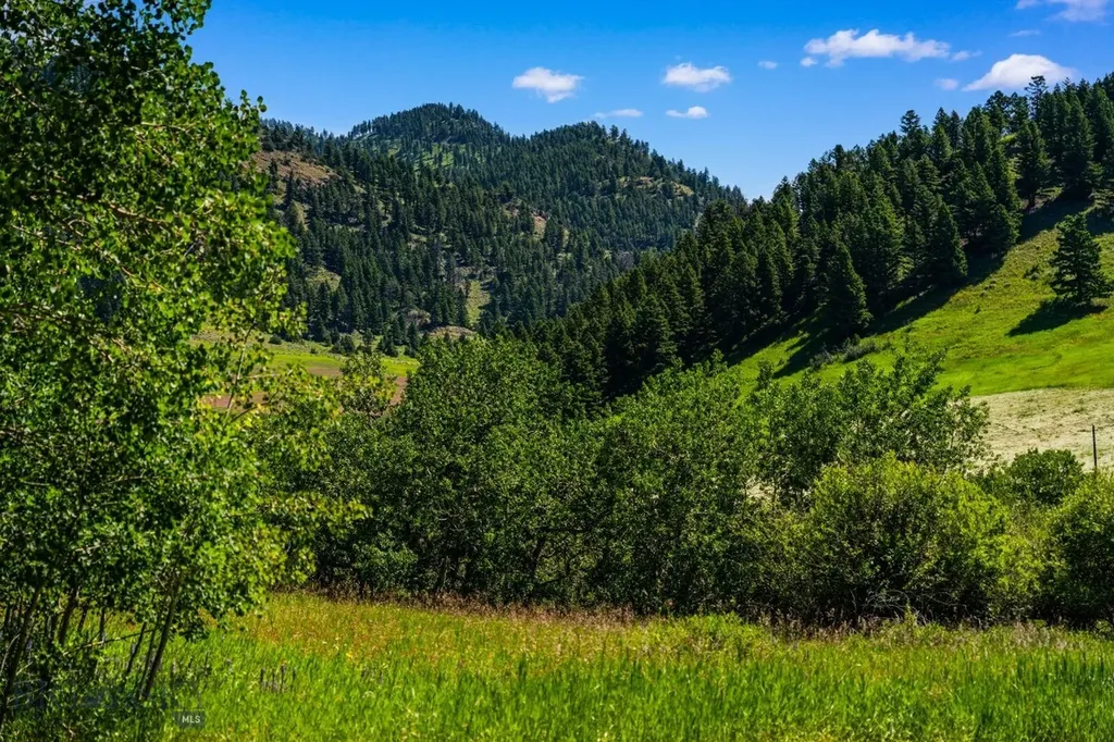 Tbd Jackson Creek Road Bozeman MT 59715