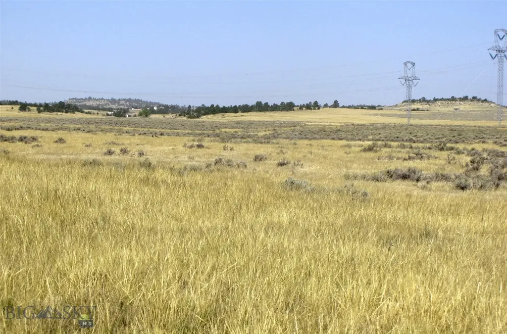 Tbd Lindstrom Road Shepherd MT 59079