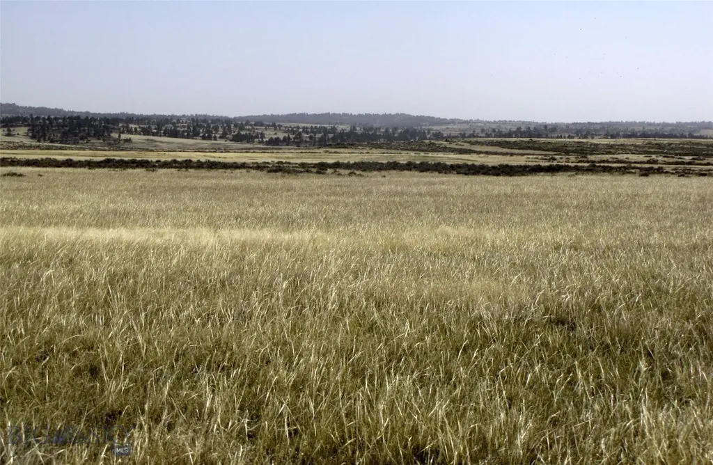 Tbd Lindstrom Road Shepherd MT 59079