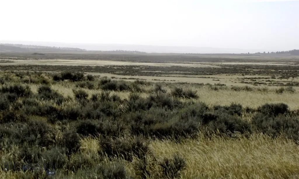 Tbd Lindstrom Road Shepherd MT 59079