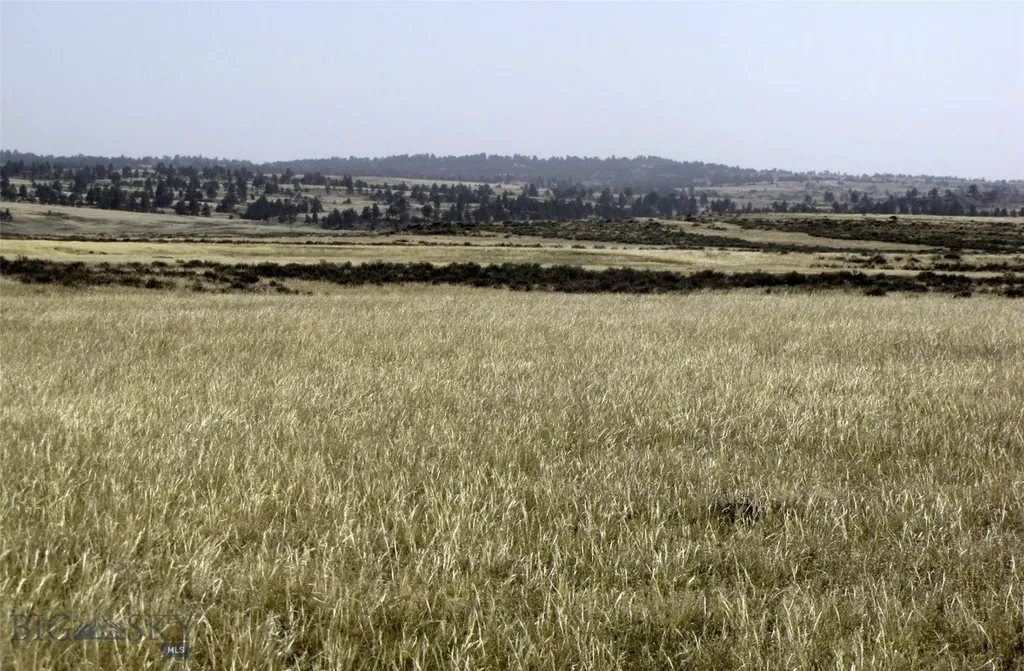 Tbd Lindstrom Road Shepherd MT 59079