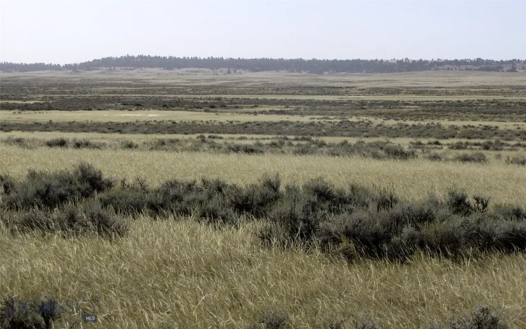 Tbd Lindstrom Road Shepherd MT 59079
