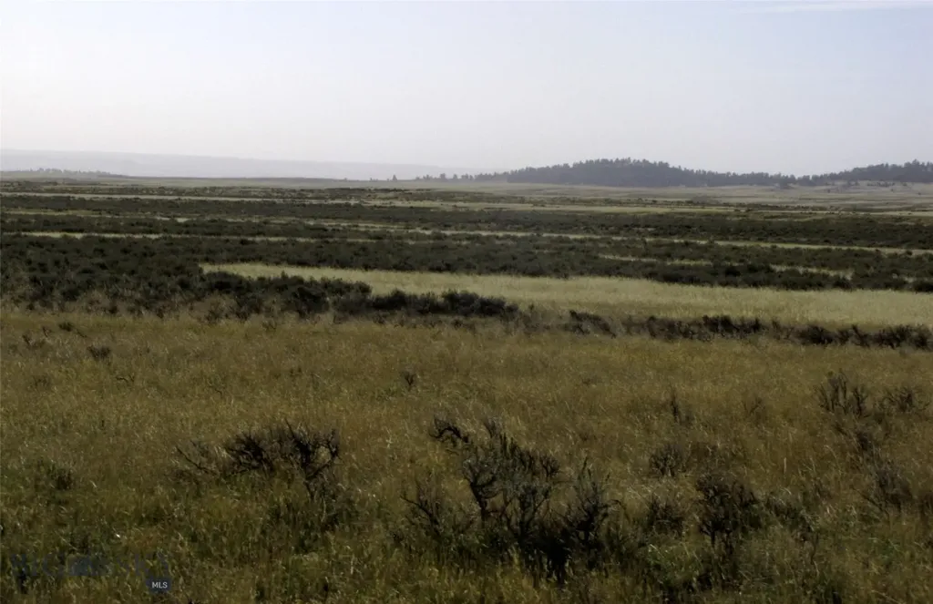 Tbd Lindstrom Road Shepherd MT 59079
