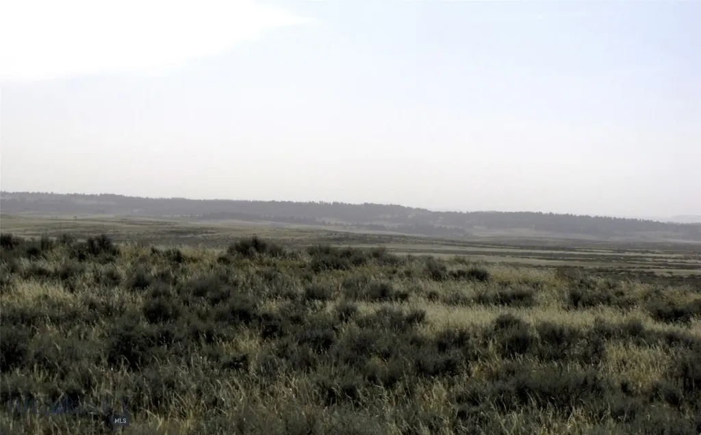 Tbd Lindstrom Road Shepherd MT 59079