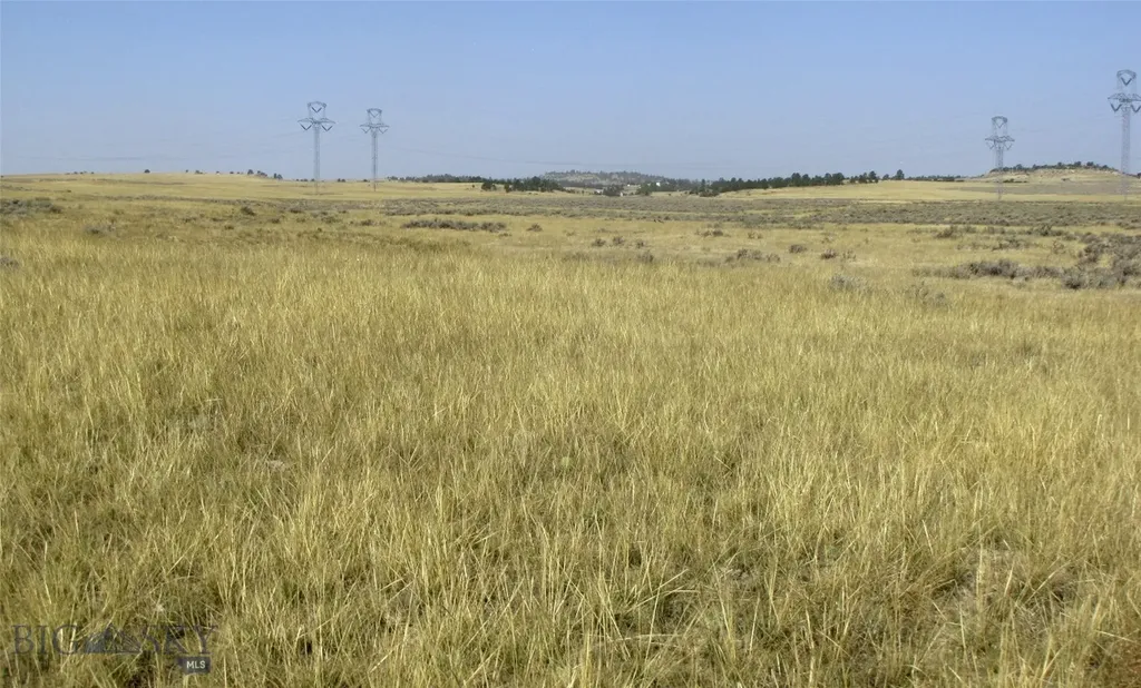 Tbd Lindstrom Road Shepherd MT 59079