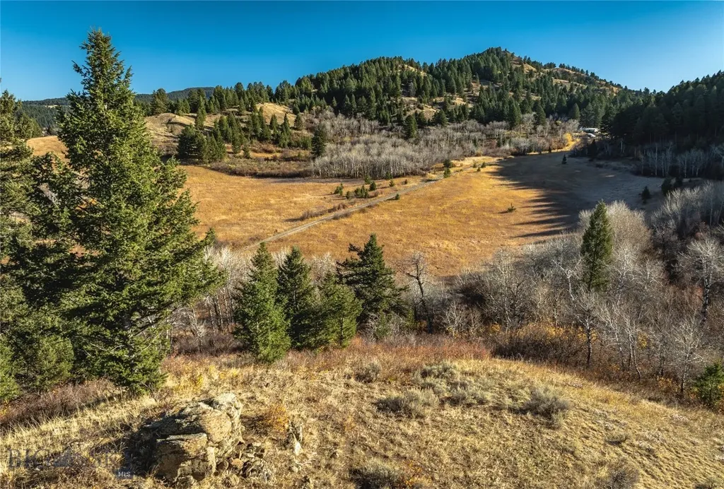 495 Moffit Gulch Road Bozeman MT 59715