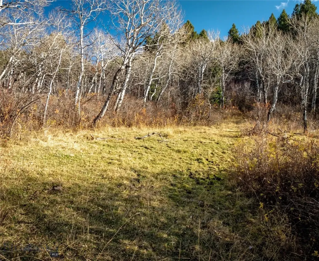 495 Moffit Gulch Road Bozeman MT 59715