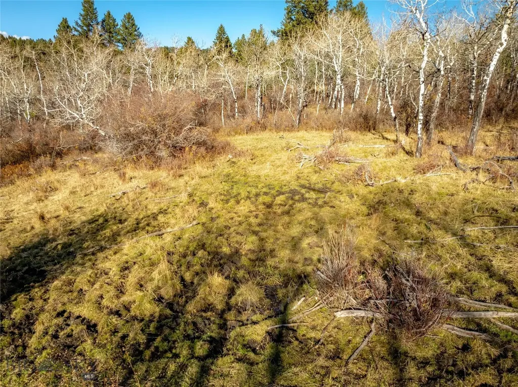 495 Moffit Gulch Road Bozeman MT 59715