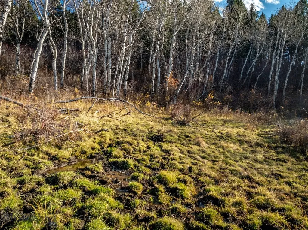 495 Moffit Gulch Road Bozeman MT 59715