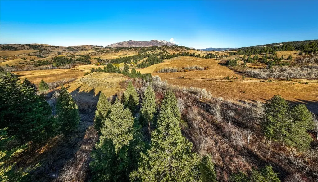 495 Moffit Gulch Road Bozeman MT 59715