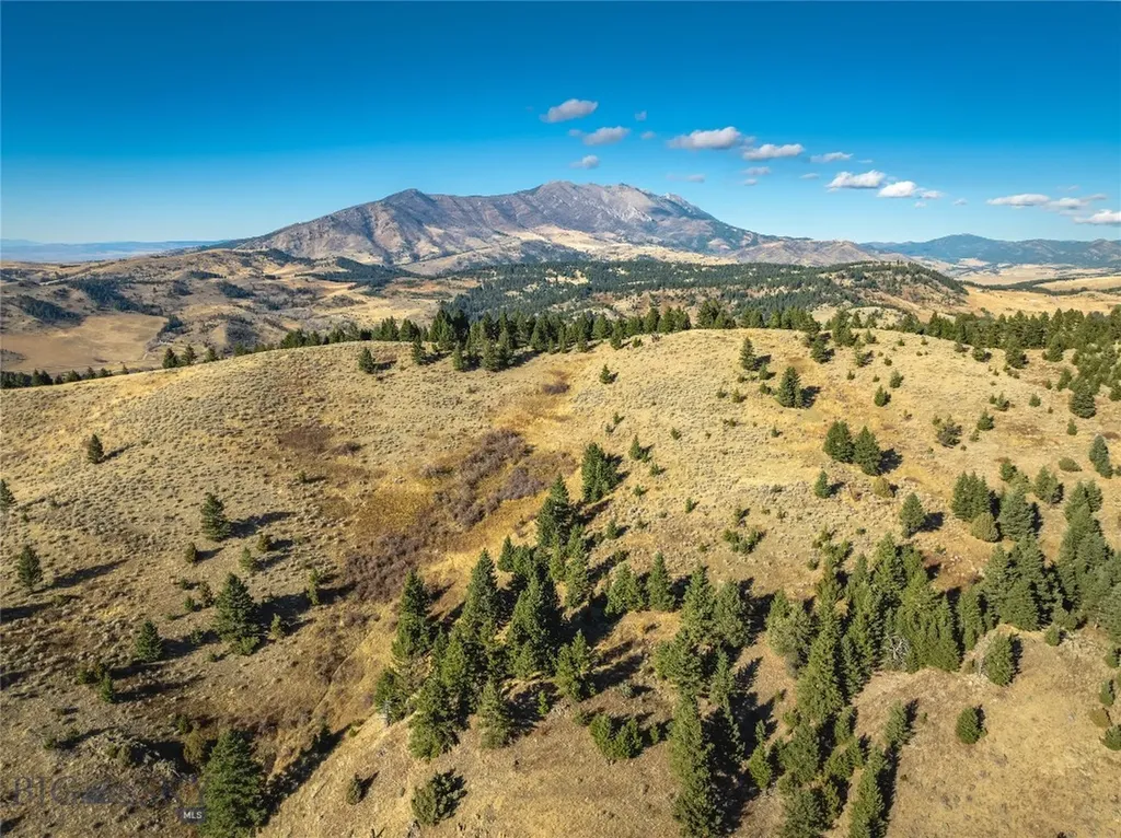 495 Moffit Gulch Road Bozeman MT 59715