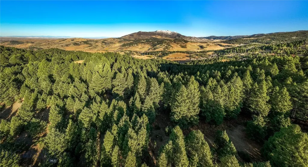 495 Moffit Gulch Road Bozeman MT 59715