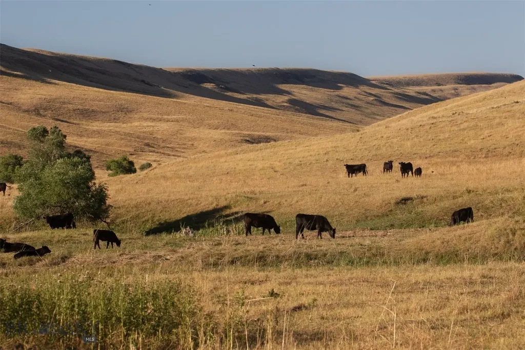 2191 Milligan Road Cascade MT 59421