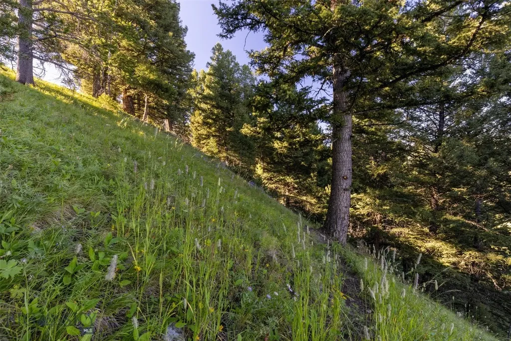 Lot 22 Upper Highland Drive Big Sky MT 59716