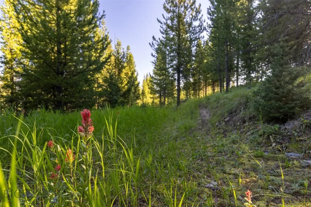 Lot 22 Upper Highland Drive Big Sky MT 59716