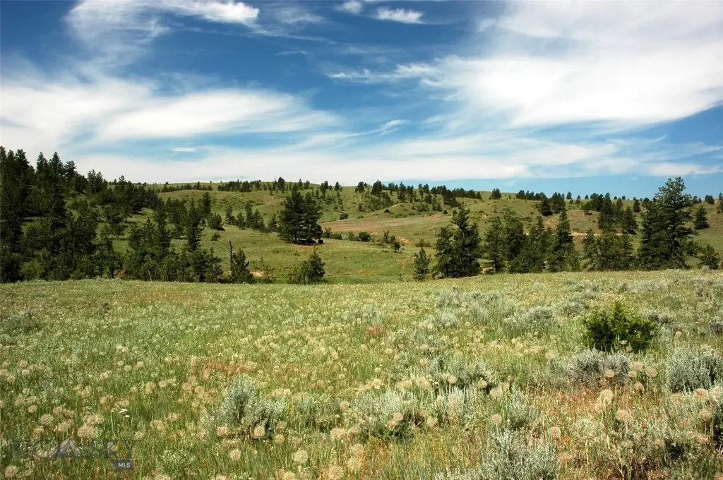 Tbd Lone Rock Canyon Lane Hysham MT 59076