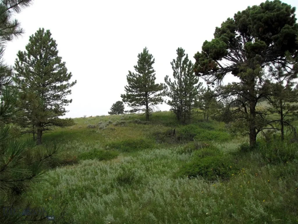 Tbd Lone Rock Canyon Lane Hysham MT 59076