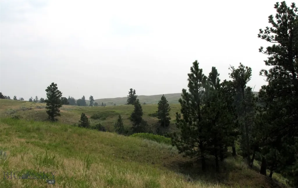 Tbd Lone Rock Canyon Lane Hysham MT 59076