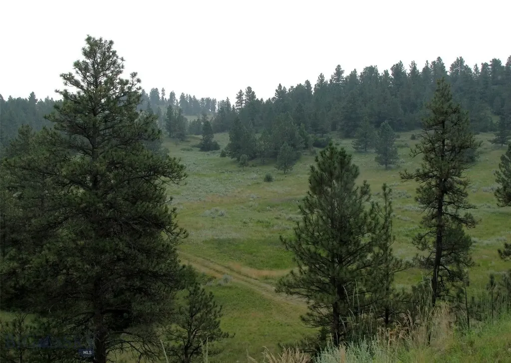 Tbd Lone Rock Canyon Lane Hysham MT 59076