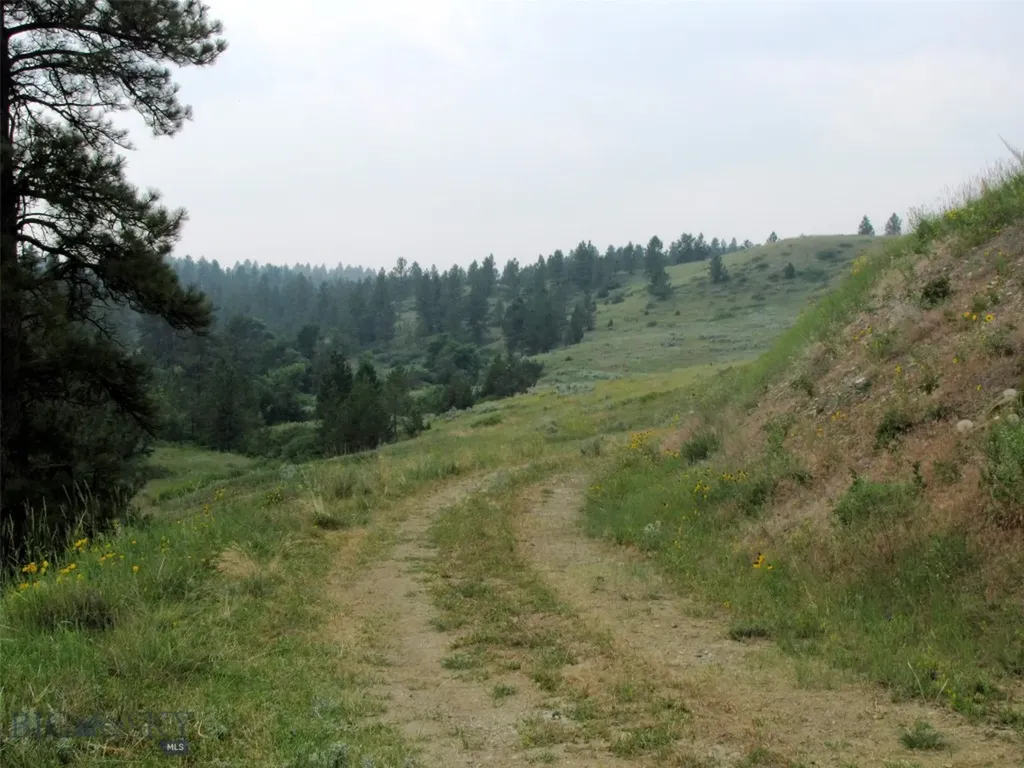Tbd Lone Rock Canyon Lane Hysham MT 59076