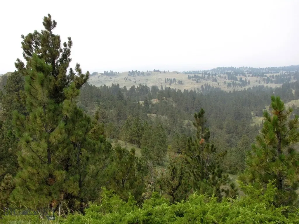 Tbd Lone Rock Canyon Lane Hysham MT 59076