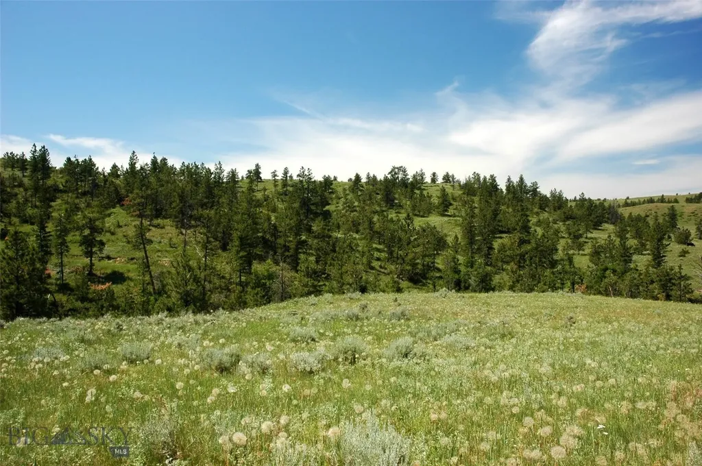 Tbd Lone Rock Canyon Lane Hysham MT 59076