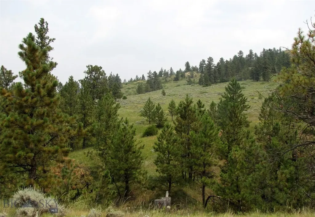 Tbd Lone Rock Canyon Lane Hysham MT 59076
