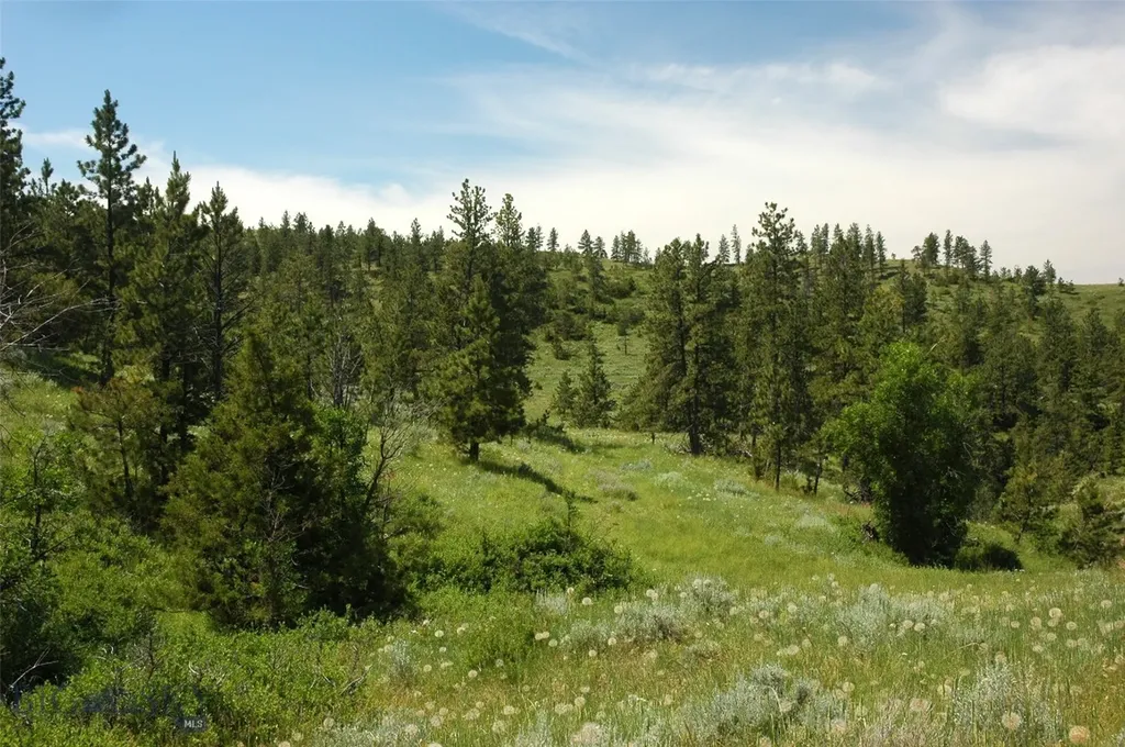 Tbd Lone Rock Canyon Lane Hysham MT 59076