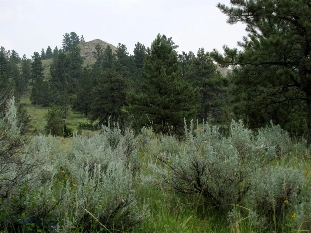 Tbd Lone Rock Canyon Lane Hysham MT 59076