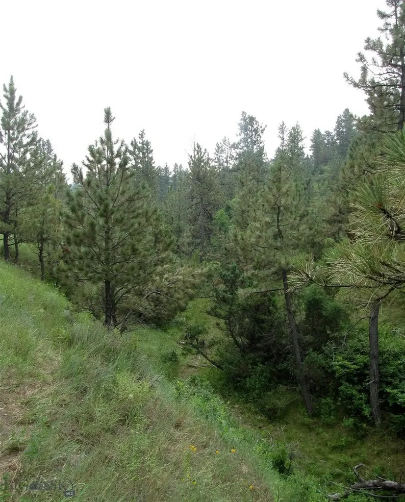 Tbd Lone Rock Canyon Lane Hysham MT 59076